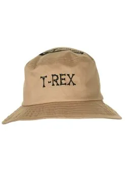 Aeromax Dinosaur Bucket Hat For Kids