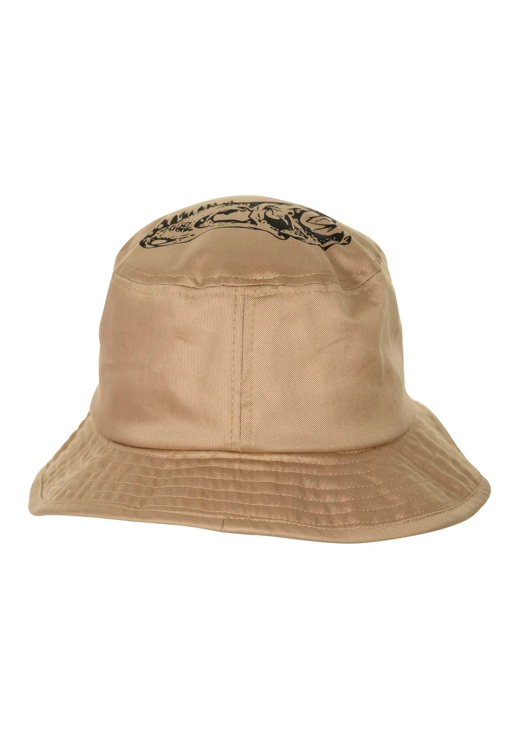 Aeromax Dinosaur Bucket Hat For Kids - Image 2