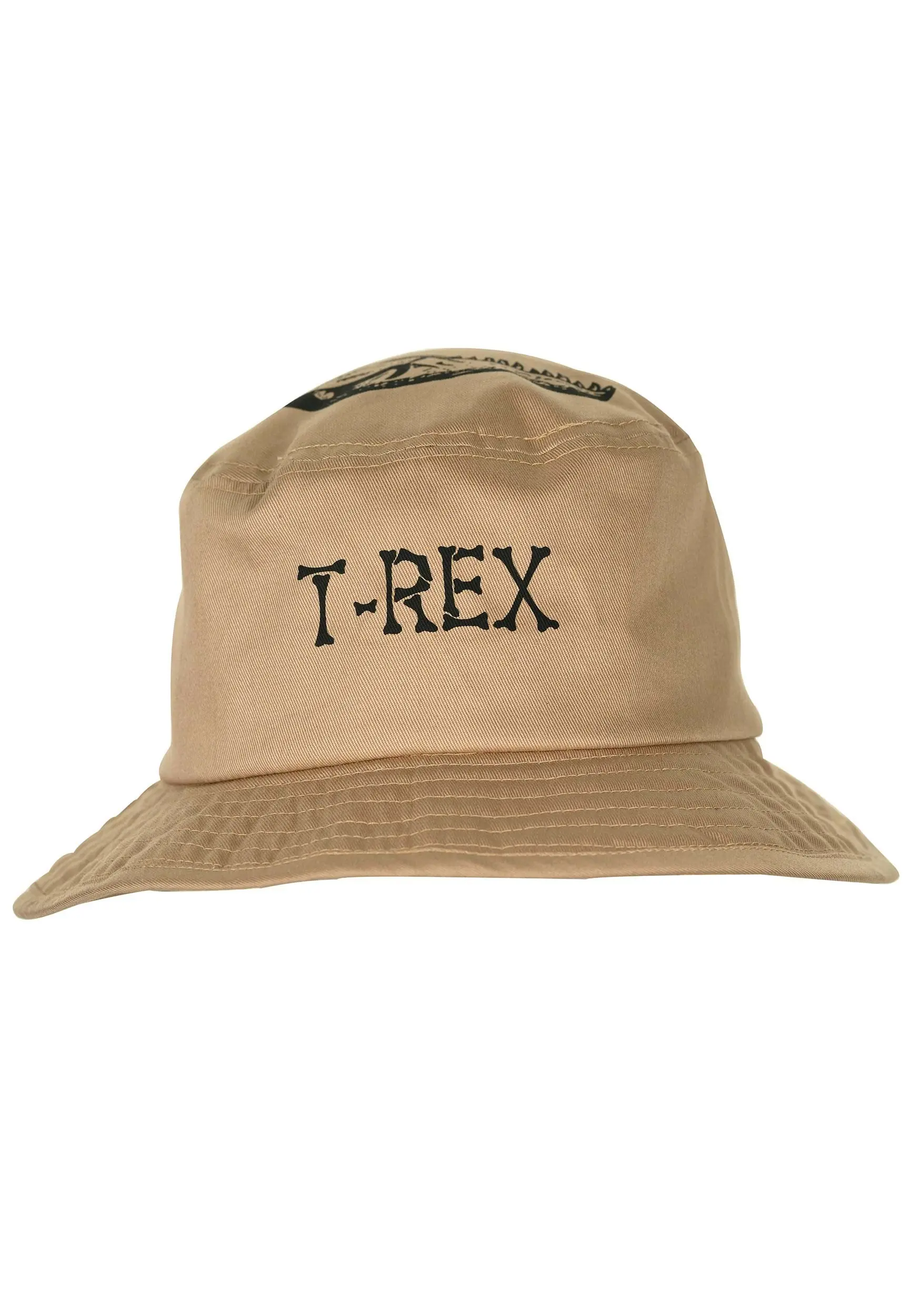 Aeromax Dinosaur Bucket Hat For Kids