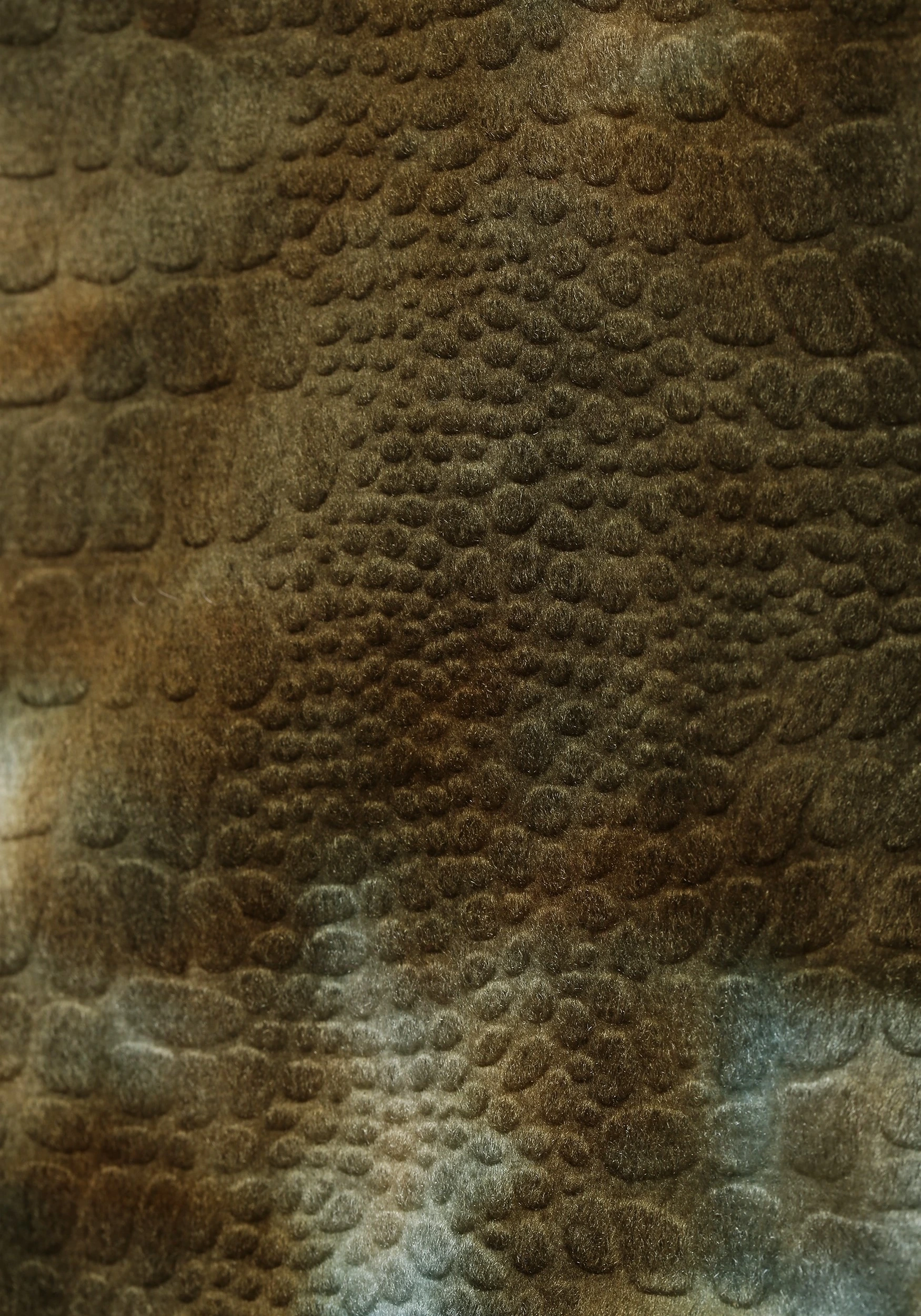 Princess Paradise Kids Dinosaur Costume - Image 10