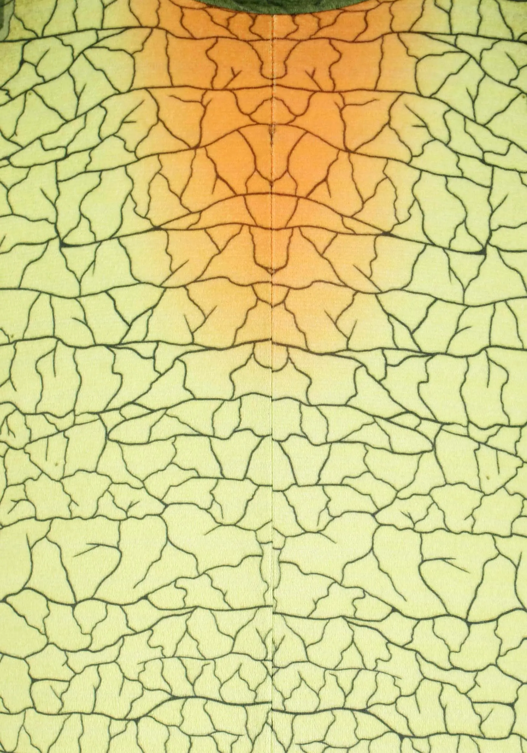 Fun Costumes Kids Dilophosaurus Costume - Image 11