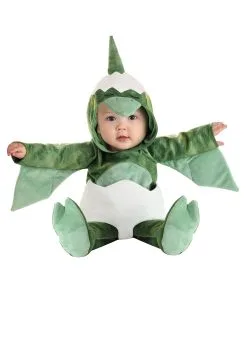 M&R TOY CO., LTD Hatching Pterodactyl Costume For Infants