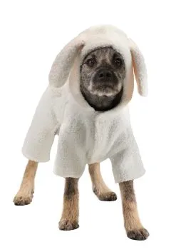 Suzhou Zhongsheng Imp & Exp Co., Ltd Sheep Costume For Dogs