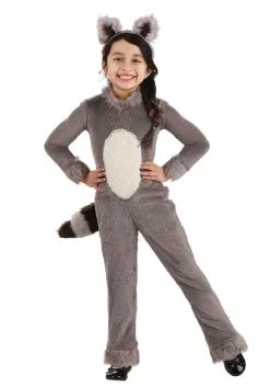 Fun Costumes Girl's Toddler Raccoon Costume
